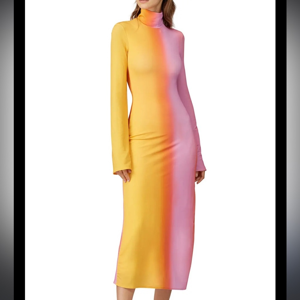 Ellery Turtleneck Long dress.